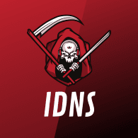 IDNS emblem