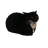 NTHGL emblem