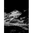 MCBT emblem