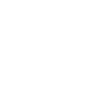 SWOE emblem