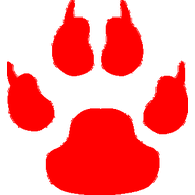 S-LEO emblem
