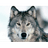 ZUMRE emblem