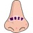 WSZY emblem