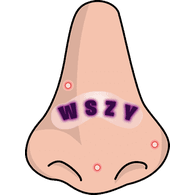 WSZY emblem