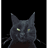 CLEEO emblem