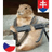 P_A_S emblem