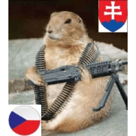 P_A_S emblem