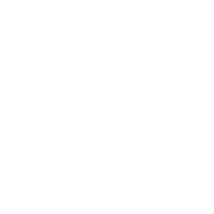 GNA-E emblem