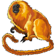 MAVPA emblem