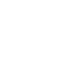 IZIVI emblem