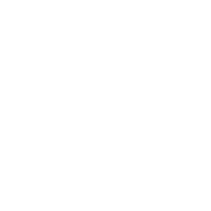 3DNT emblem