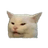 I_I_N emblem