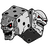 DICES emblem