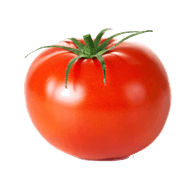 MTOM emblem