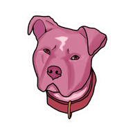 RO_PI emblem