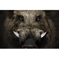 W4T emblem