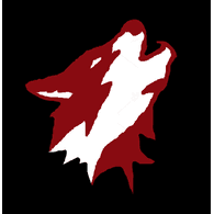 DV_PL emblem