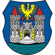 CESTE emblem