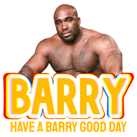 B4RRY emblem