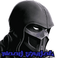 N_B_S emblem