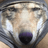 KOVEL emblem