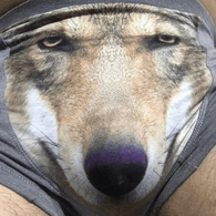 KOVEL emblem