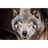 LW065 emblem