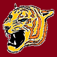 STIGR emblem