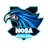 NOSA emblem