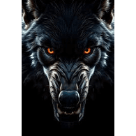 WB-- emblem