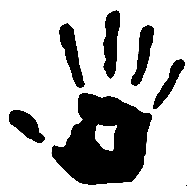NOOLD emblem