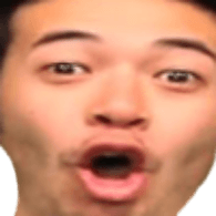 POGU emblem