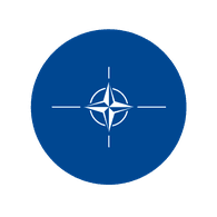 0T4N emblem
