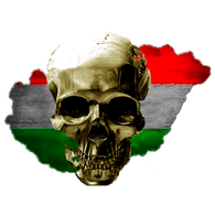 H-S-C emblem