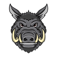 NASCA emblem