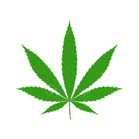 HA-NF emblem