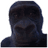 MNKES emblem