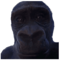 MNKES emblem
