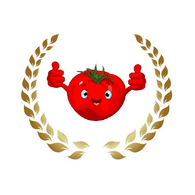 S-O emblem
