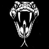 3C27 emblem