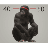 40-50 emblem