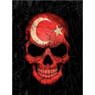 1453_ emblem