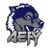AEFY emblem