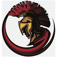TROIY emblem