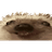 XDD emblem
