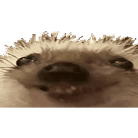 XDD emblem