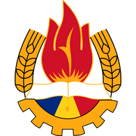 PION emblem