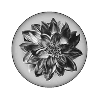BL-D emblem