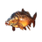CARPY emblem