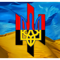 V_SKY emblem